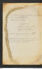 Nachlass Franz Steindachner, Brief von Maria von Lommicki an Franz Steindachner (31.01.1878), Inv.Nr. 310.01, Seite 2